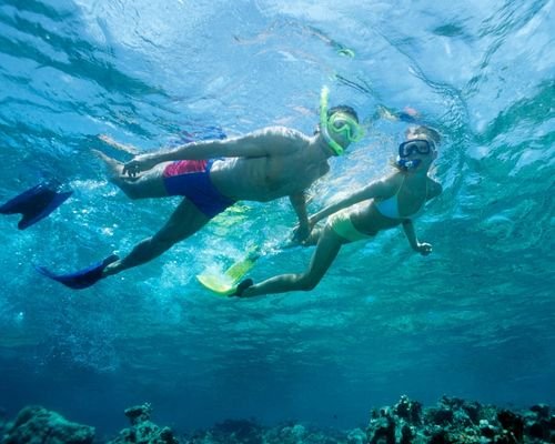 snorkeling family tour in Lombok