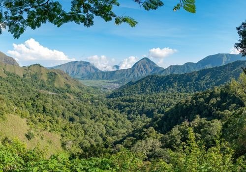 pusuk forest