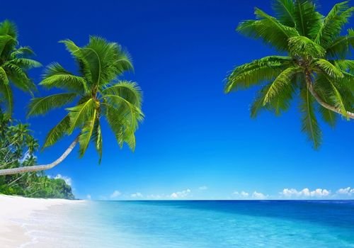 sire beach