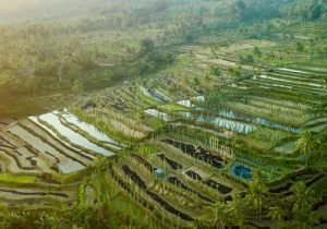 tetebatu