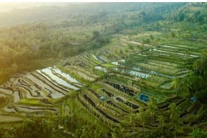lombok day tour