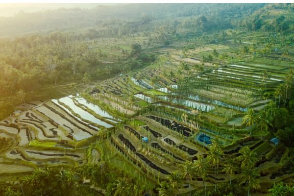 lombok day tour