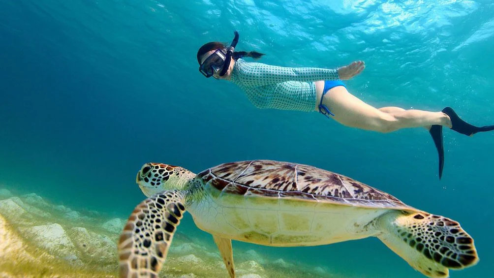 Lombok Snorkeling Trip for Solo Traveler