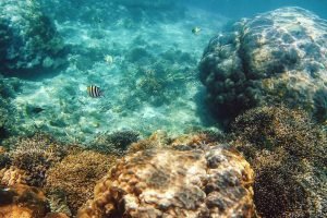 gili meno Lombok
