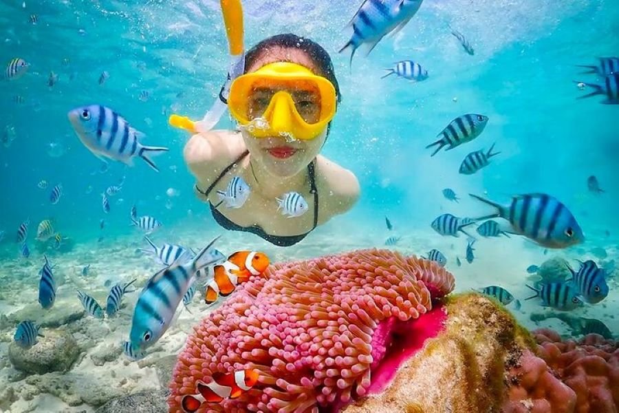 Lombok snorkeling trip for solo traveler