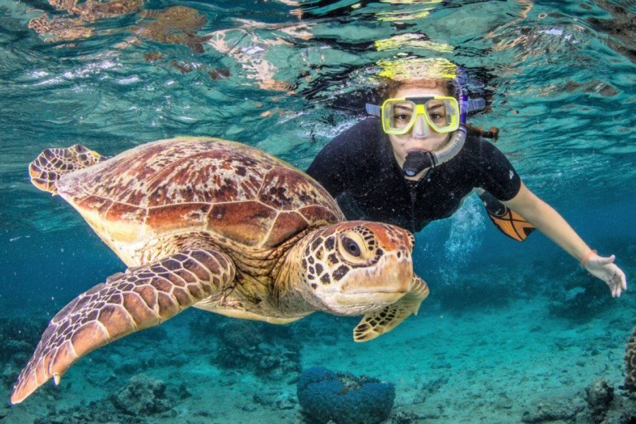 Lombok Snorkeling Trip for Solo Traveler
