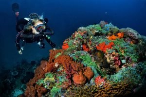 Gili Trawangan dive