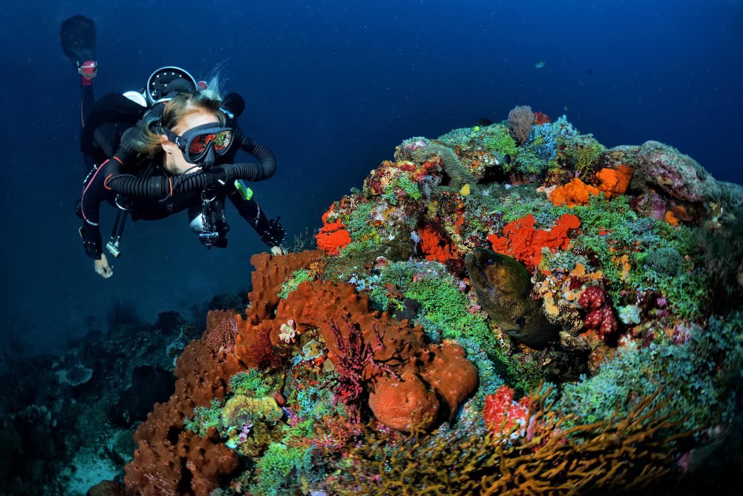 Gili Trawangan dive