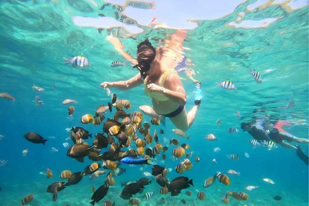 Lombok Snorkeling Trip