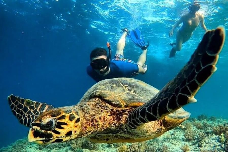 Lombok Snorkeling Trip Gili Trawangan