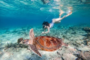 Lombok Snorkeling Trip Gili Trawangan