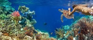 Lombok Snorkeling Trip Senggigi