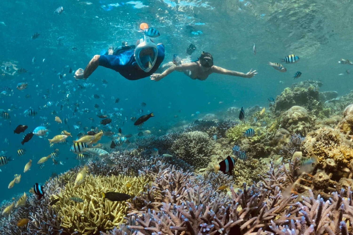 Lombok Snorkeling Trip for Adventure