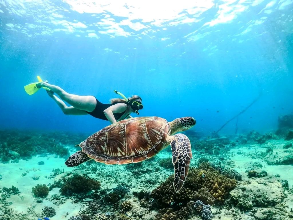 Lombok Snorkeling Trip for Nature Lovers