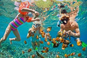 Lombok Snorkeling Trip for Nature Lovers