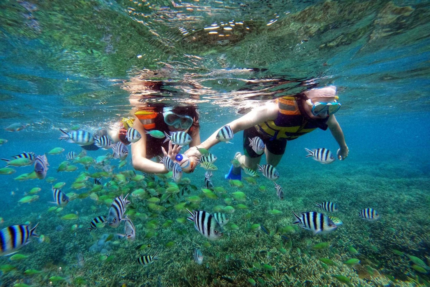 Lombok Snorkeling Trip