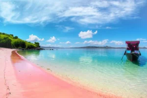 Pink Beach Lombok Why Pink