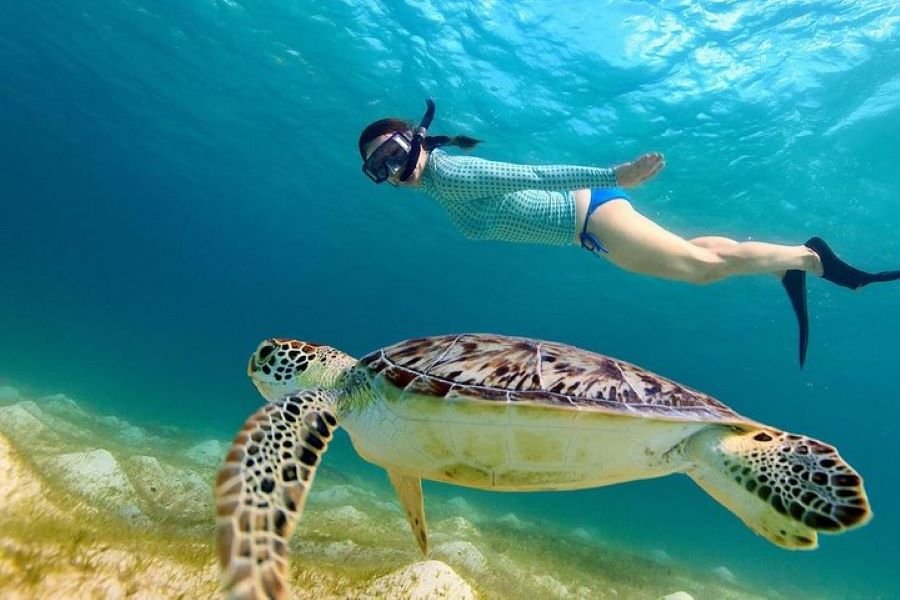 Lombok snorkeling trip for solo traveler