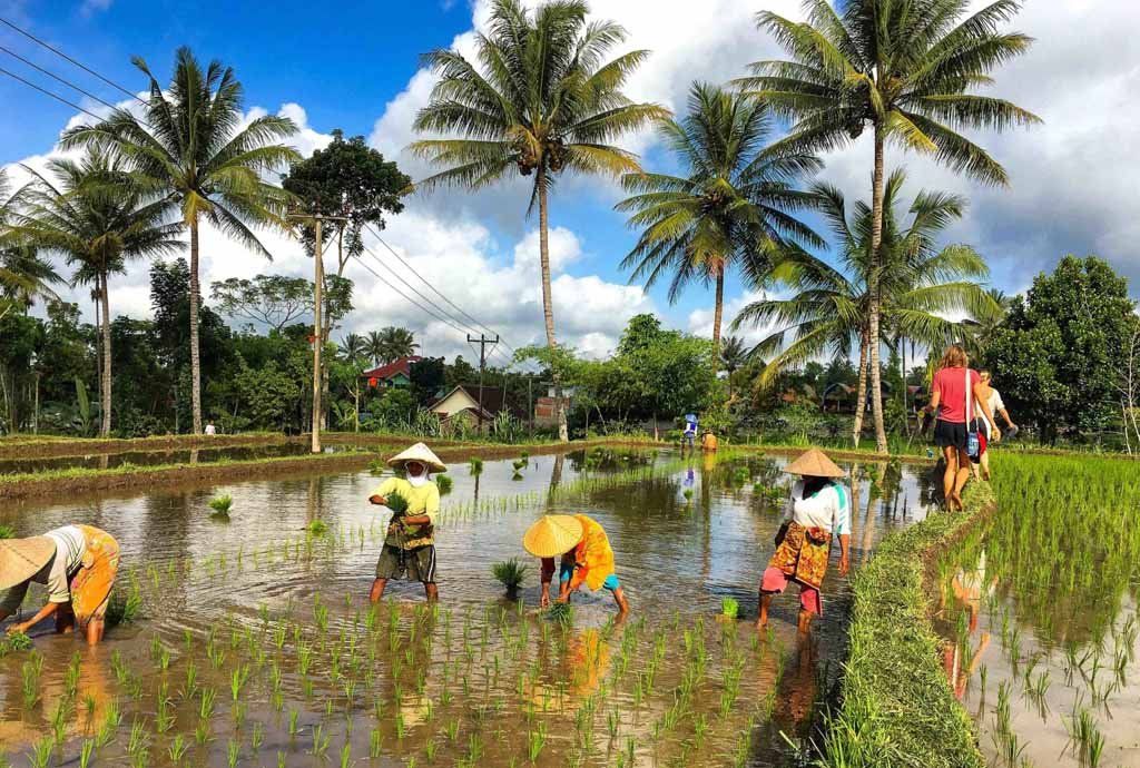 Tetebatu Lombok Reddit