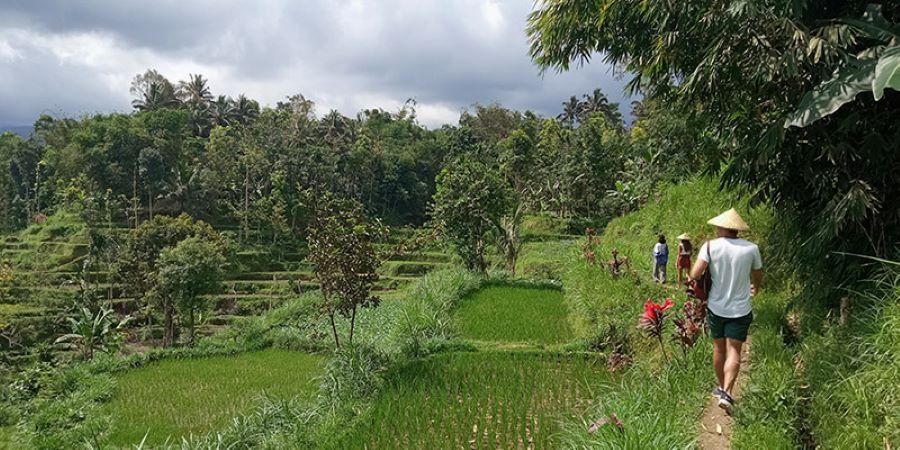 Tetebatu Lombok Reddit