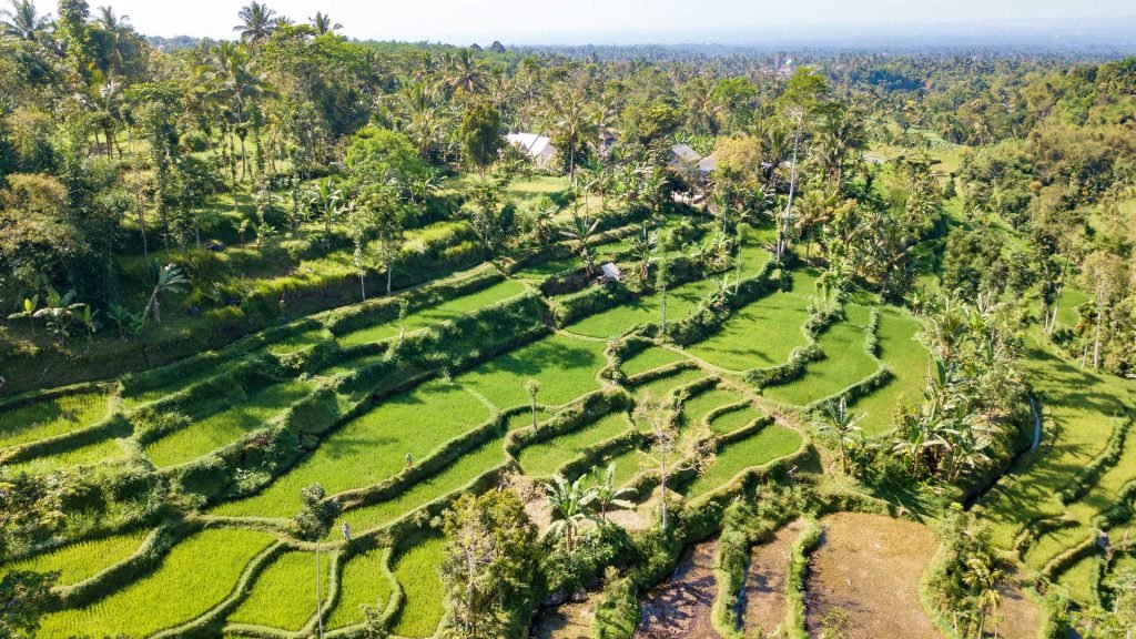 Tetebatu places to stay