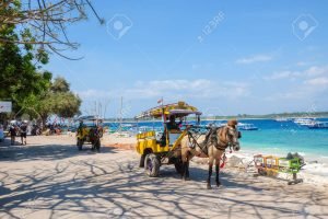 Gili Meno horse cart