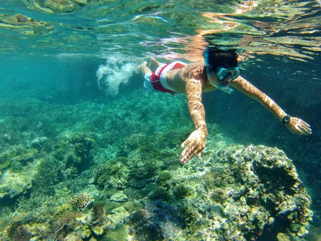 open trip Pink Beach Lombok