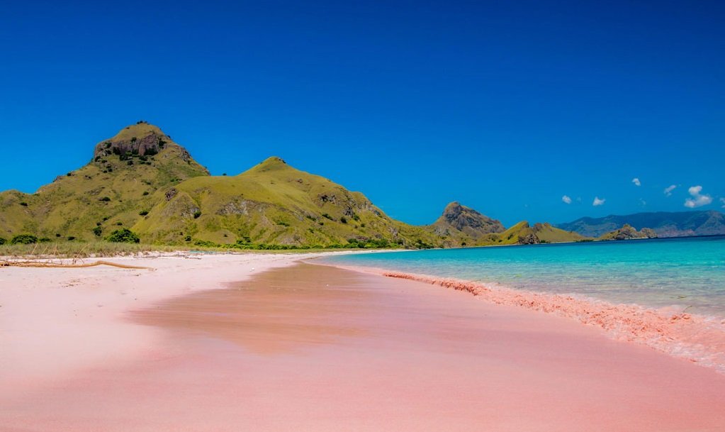 open trip Pink Beach Lombok