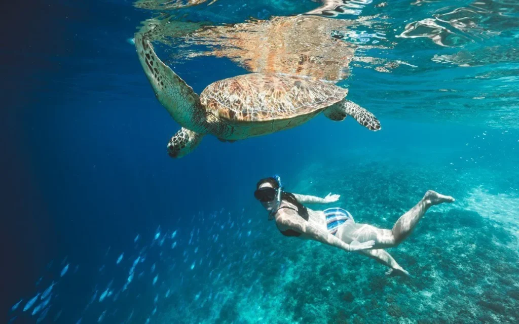 Gili Air Highlights
