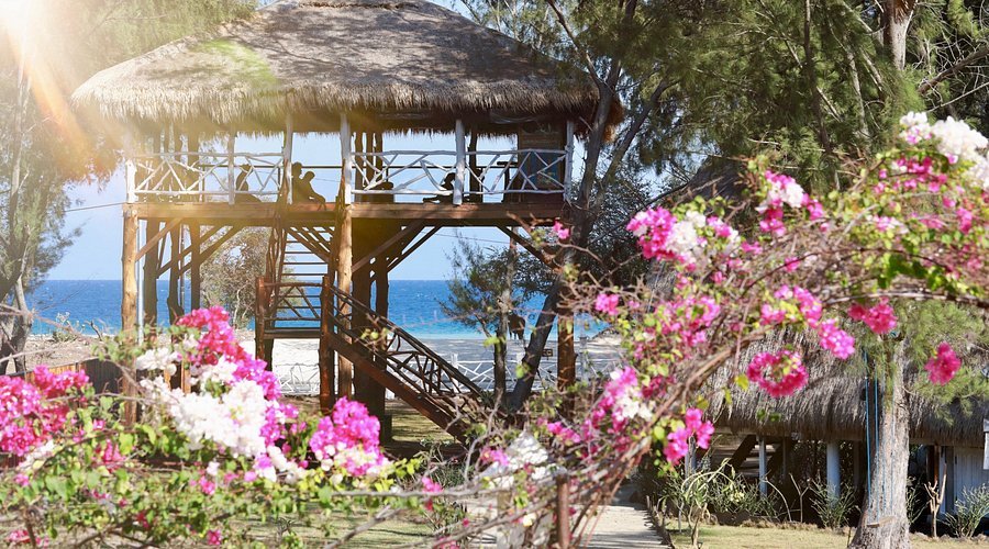 Gili Asahan yoga