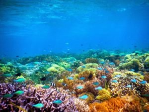 Gili Gede dive sites