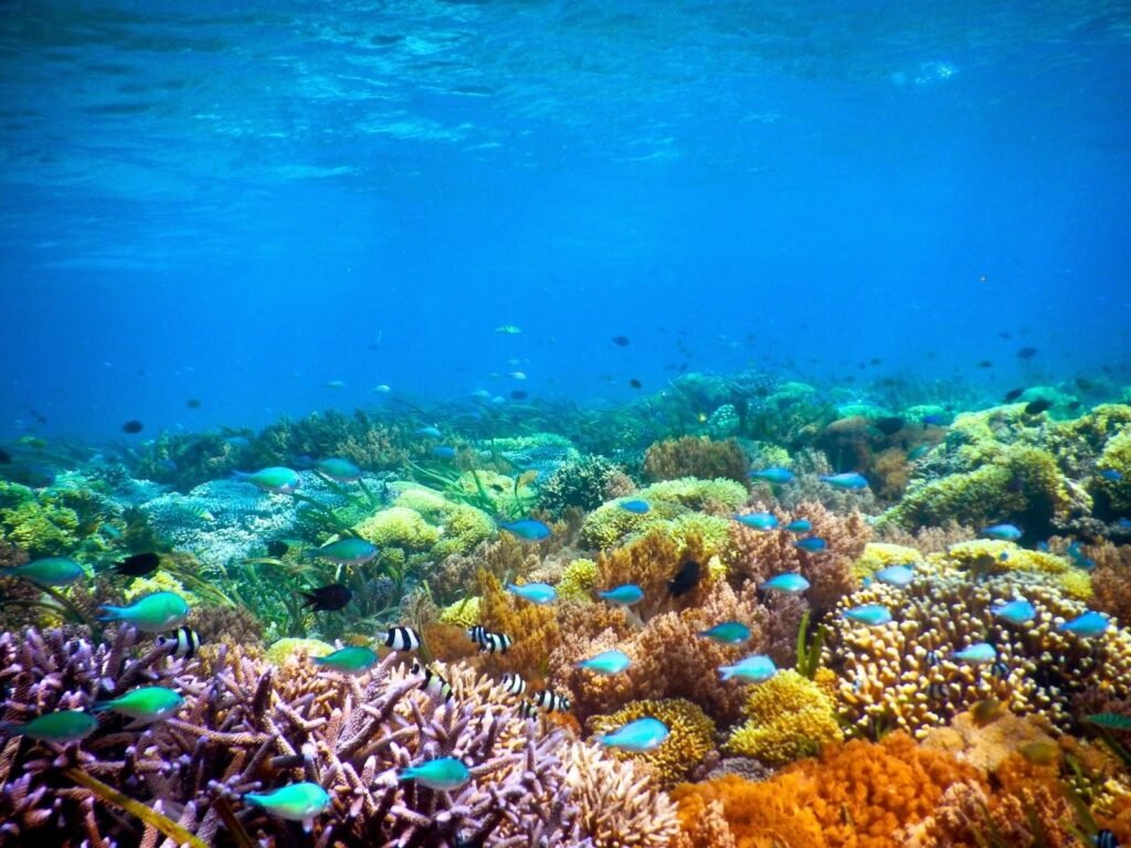 Gili Gede dive sites