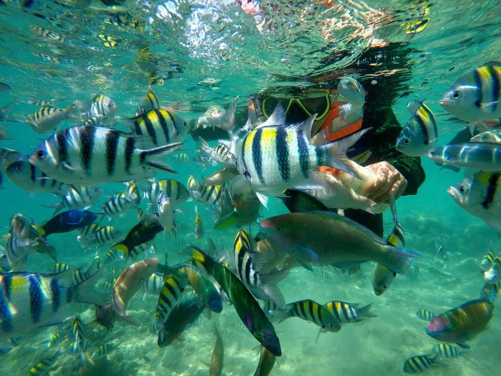 Gili Gede snorkeling trip