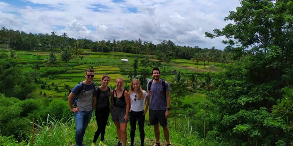 jungle in Tetebatu