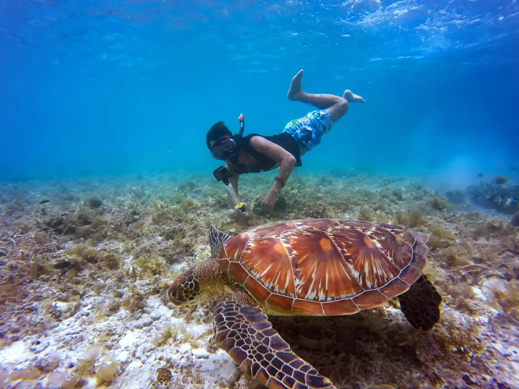 Gili Asahan what to do