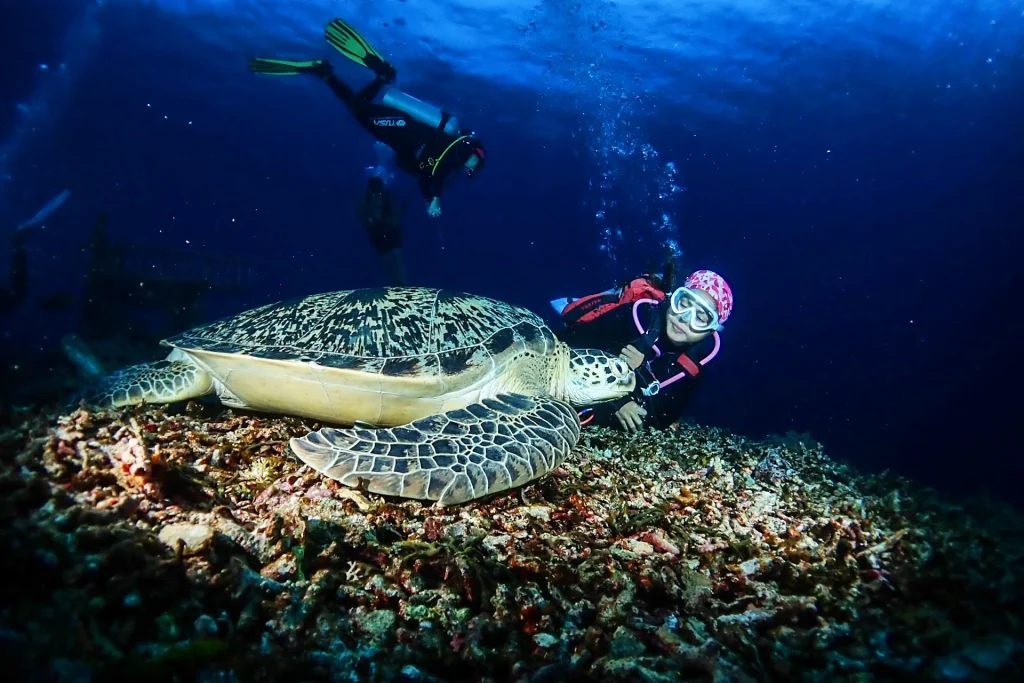 Gili Tepekong