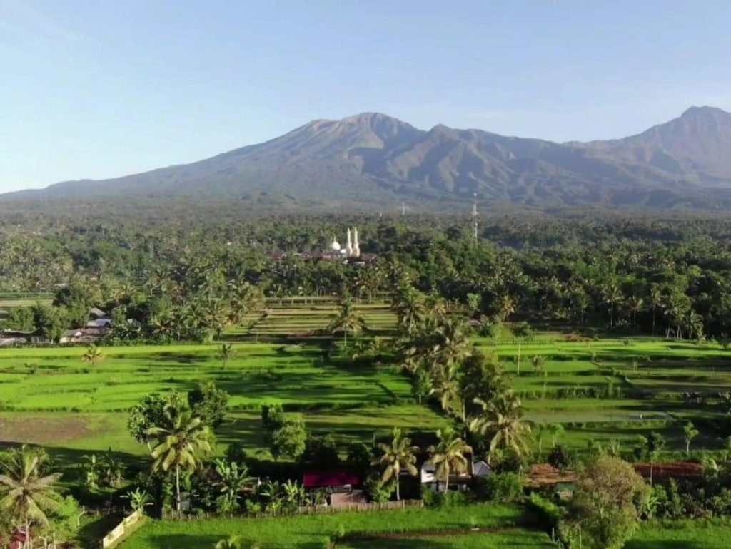 Tetebatu Stay