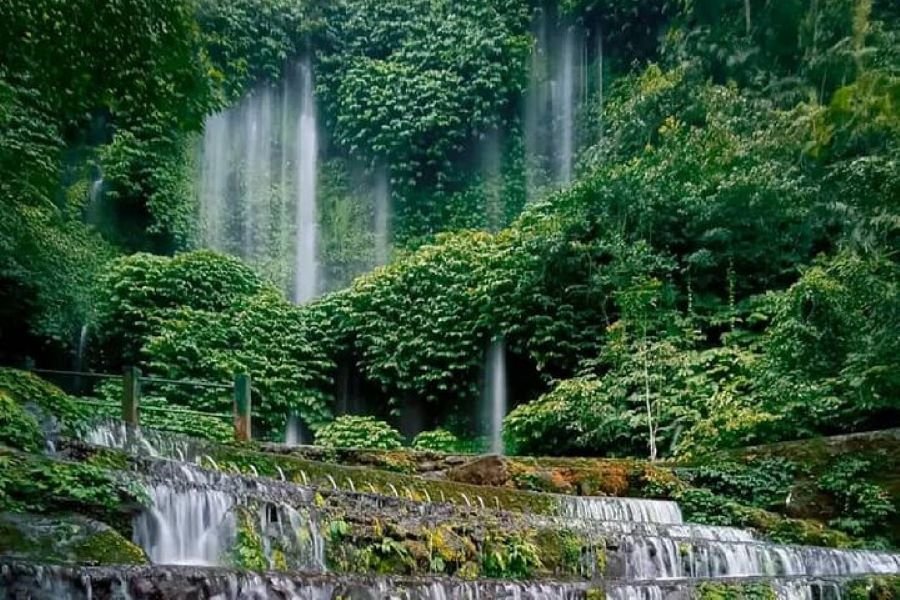 Benang Kelambu Carte