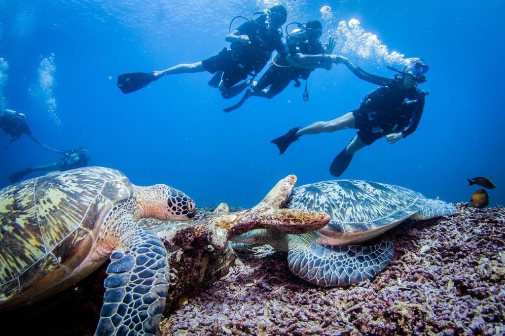 Gili Trawangan diving