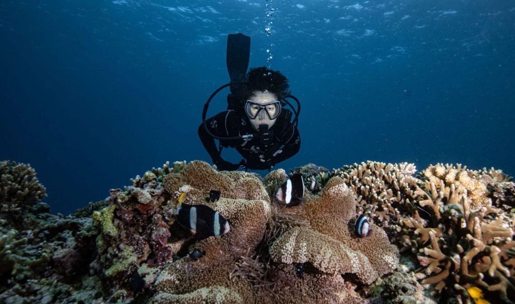 Gili Trawangan diving