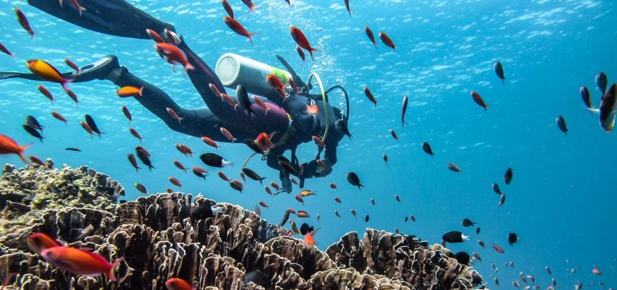 Gili Trawangan diving