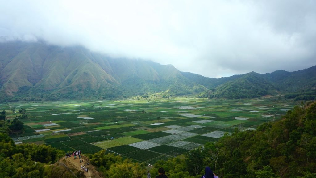 Sembalun Indonesia