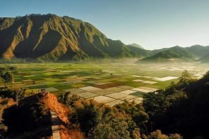 Sembalun Lawang in which state