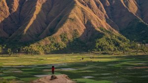 Sembalun Valley Lombok