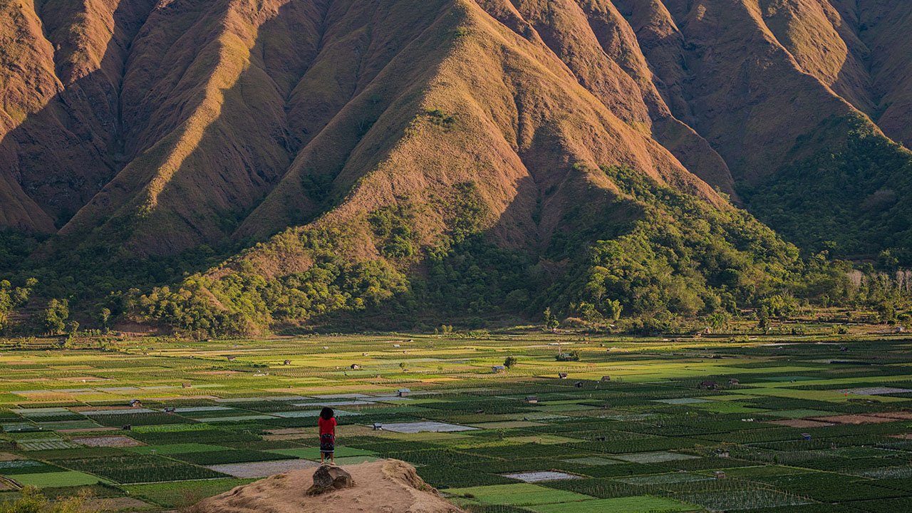 Sembalun Valley Lombok