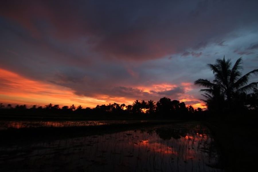 Tetebatu sunset