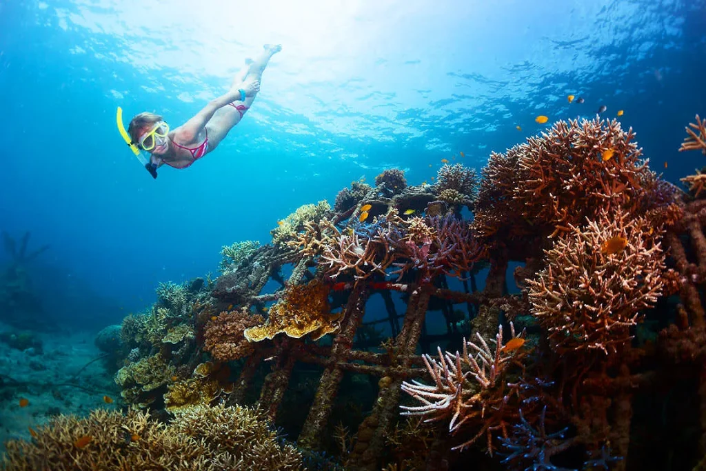 Kokomo Gili Gede reviews