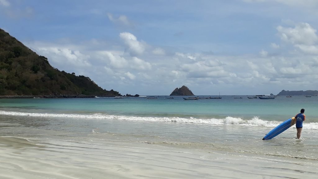 Selong Belanak beach cows