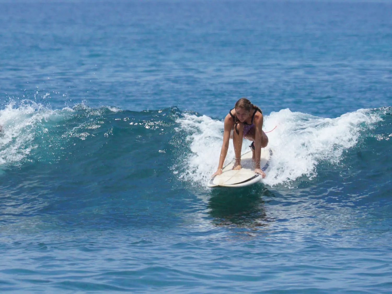Selong Belanak surf school