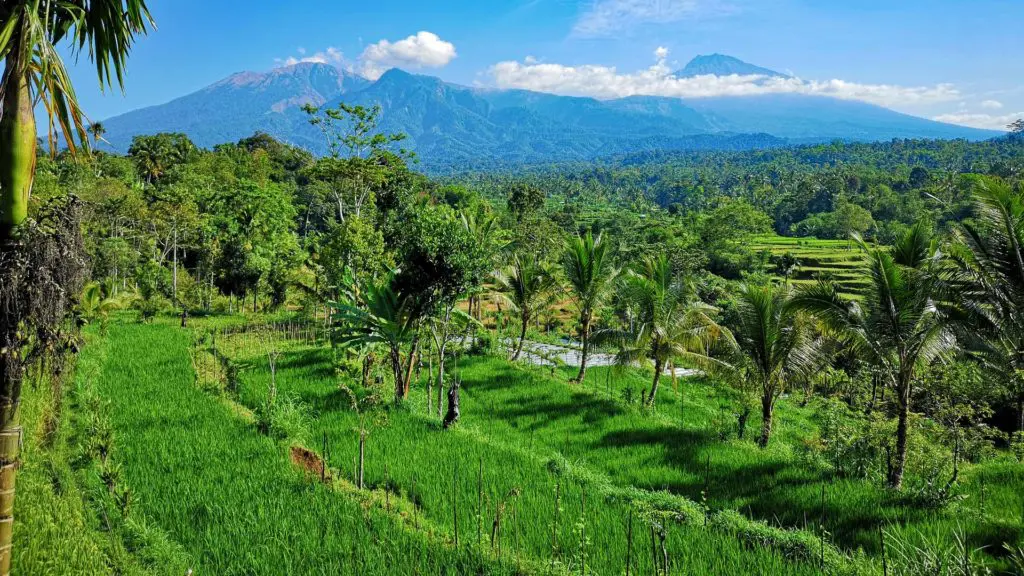 Tetebatu City